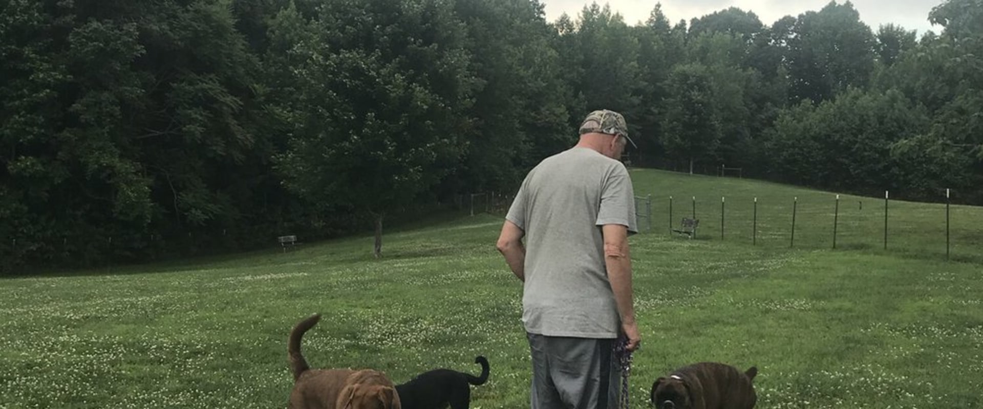 Animal Welfare in Calvert County, MD: How Laws and Community Involvement Protect Our Furry Friends