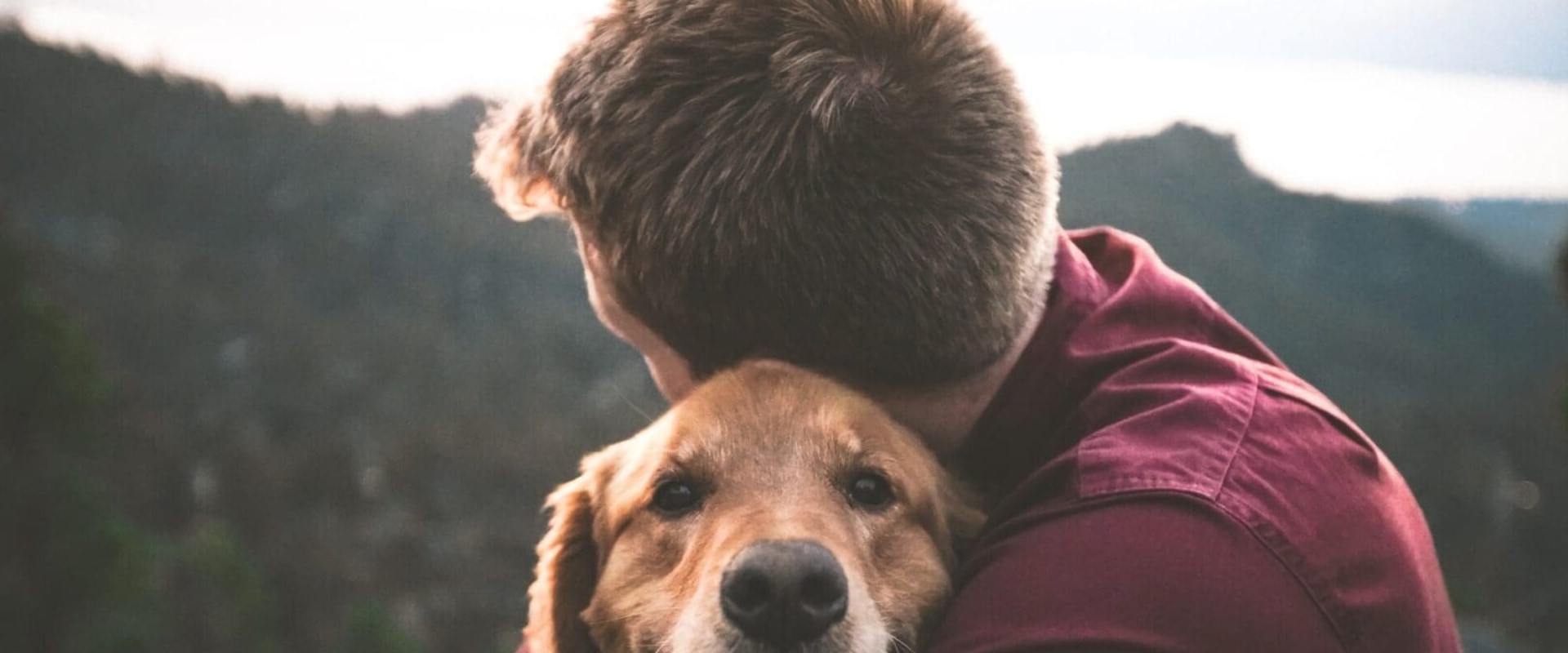 The Importance of Responsible Pet Ownership in Calvert County, MD