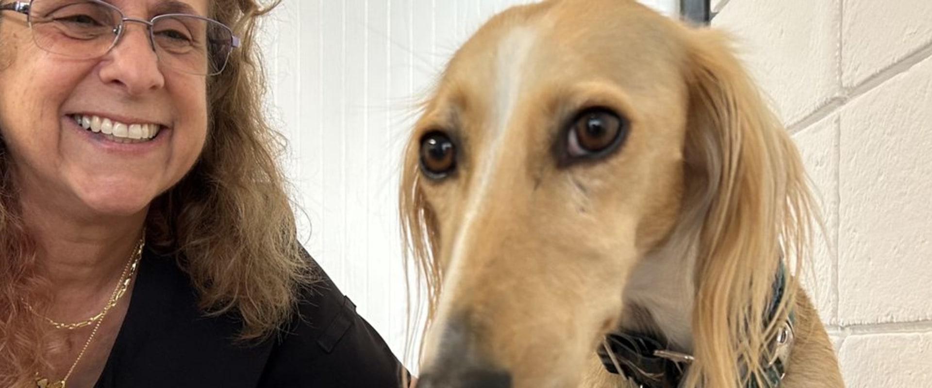 Animal Welfare in Calvert County, MD: A Comparative Analysis - An Expert's Perspective