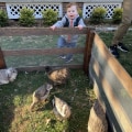 The Community's Efforts for Animal Welfare in Calvert County, MD