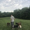 Animal Welfare in Calvert County, MD: How Laws and Community Involvement Protect Our Furry Friends