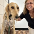 Animal Welfare in Calvert County, MD: A Comparative Analysis - An Expert's Perspective