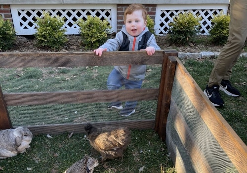 The Community's Efforts for Animal Welfare in Calvert County, MD