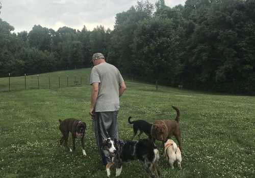 Animal Welfare in Calvert County, MD: How Laws and Community Involvement Protect Our Furry Friends