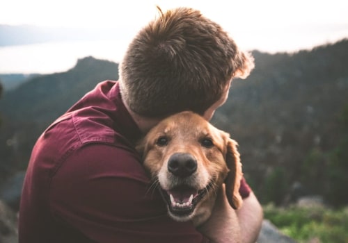 The Importance of Responsible Pet Ownership in Calvert County, MD