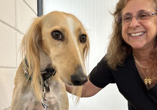 Animal Welfare in Calvert County, MD: A Comparative Analysis - An Expert's Perspective